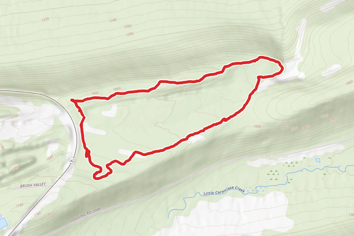 Dark Woods, Big Mountain