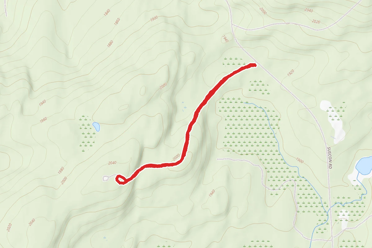 Suscon Fire Tower Hike