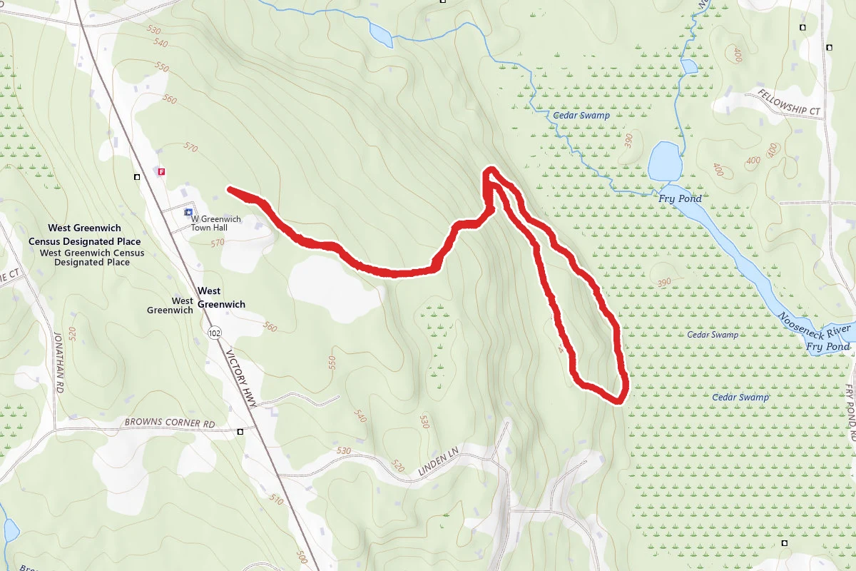 Cedar Swamp Loop Trail