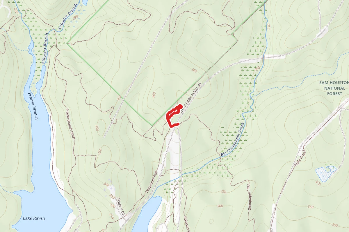 Loblolly Trail Loop