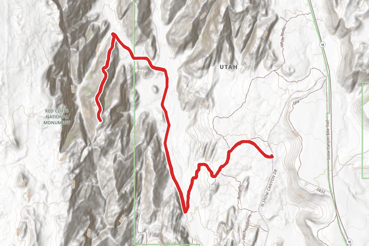 Deidre Peak