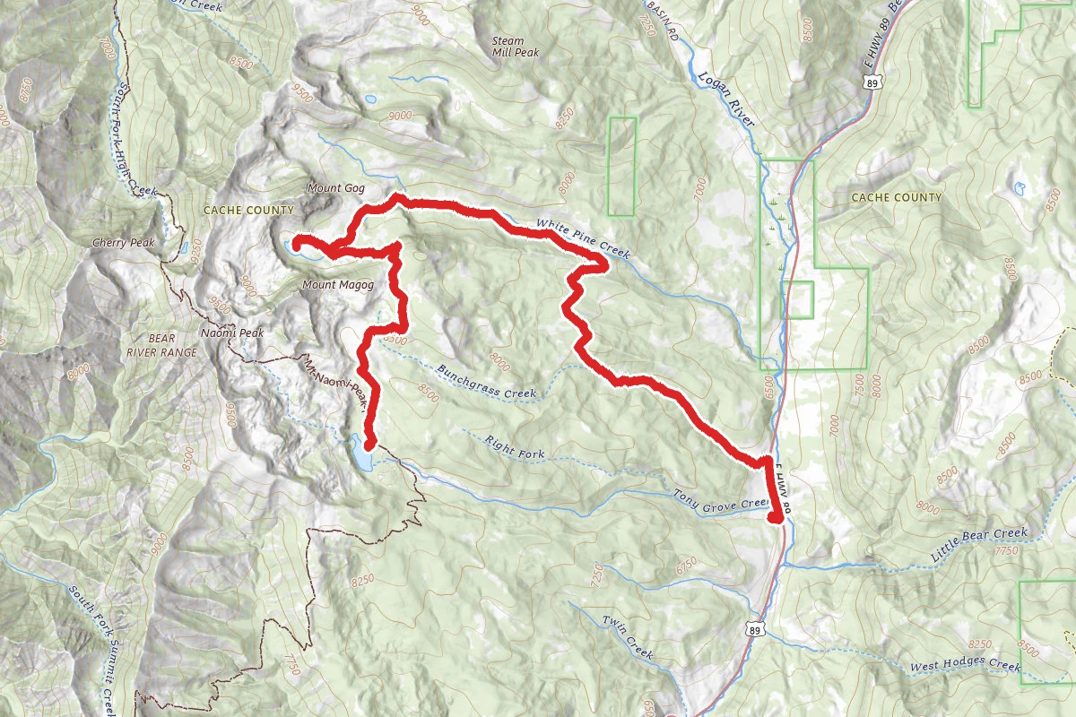 White Pine Lake Trail to Bunchgrass Trail