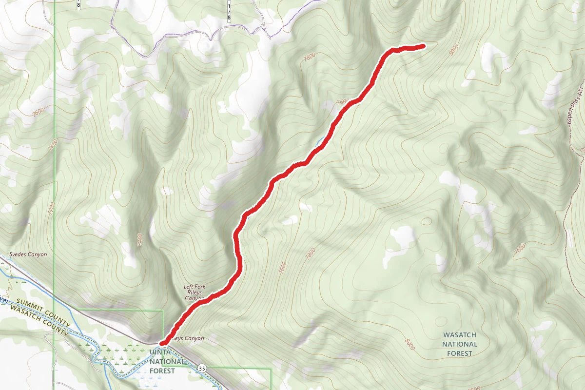 Rileys Canyon