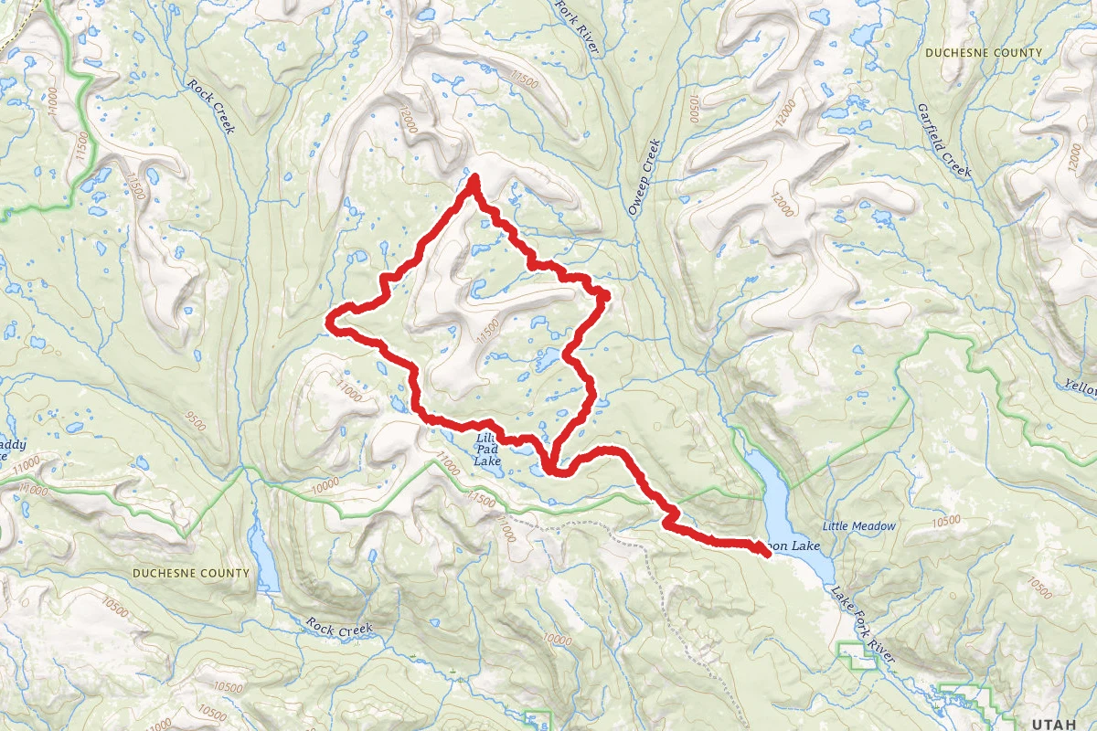 Brown Duck Mountain Loop Trail