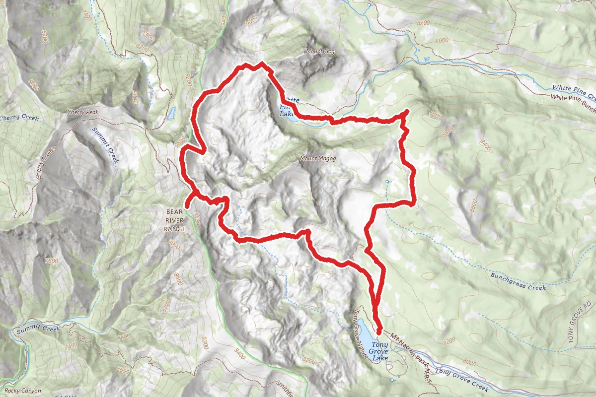 Naomi Passage Loop