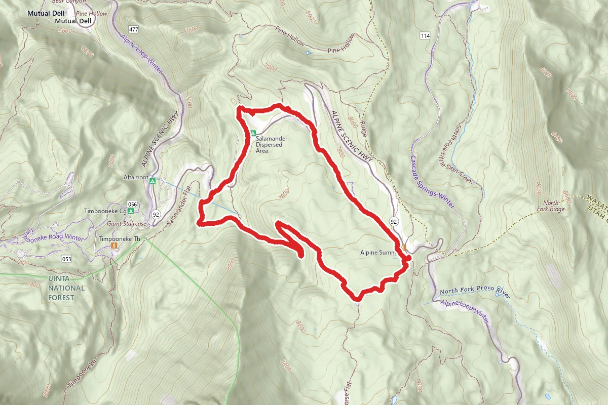 Salamander Flat, Willow Hollow and Snow Gauging Loop