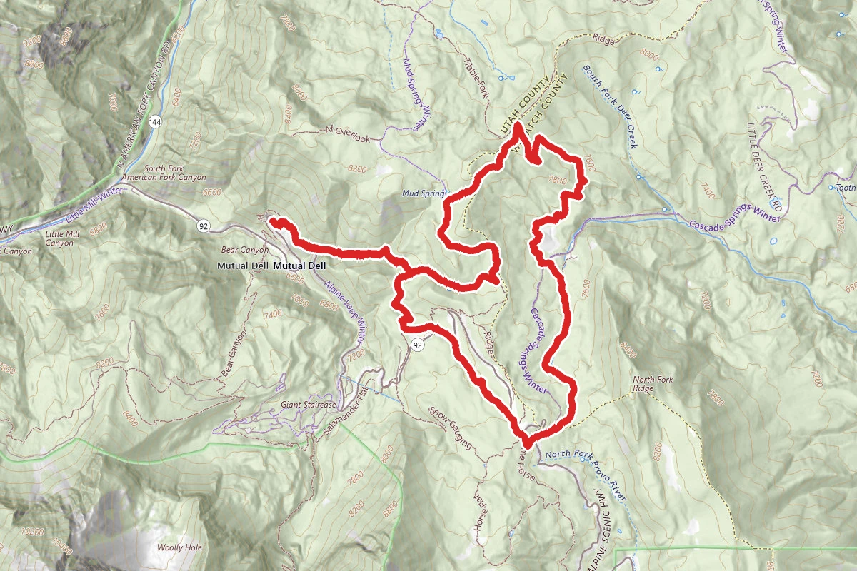 Pine Hollow to Willow Hollow to South Fork Little Deer Creek to Ridge Loop