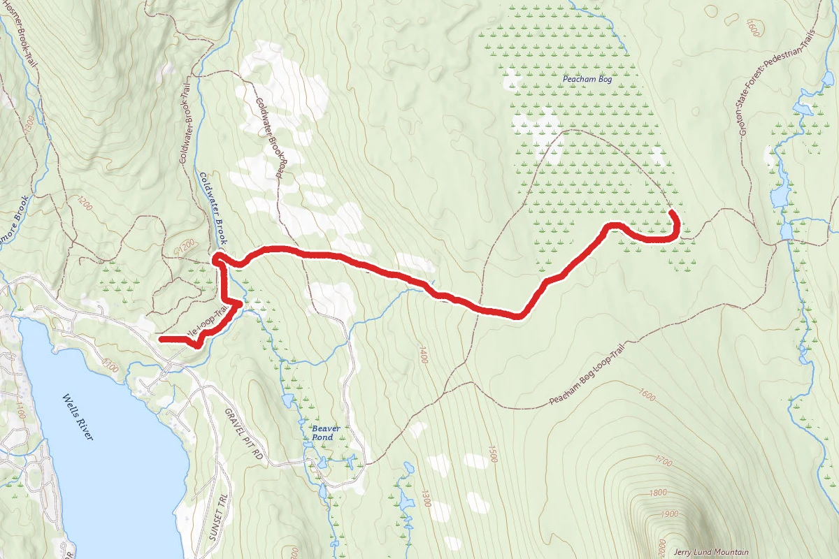 Peacham Bog Trail