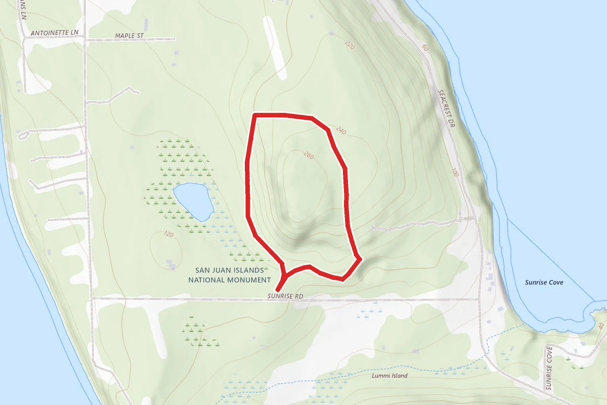 Otto Preserve Loop
