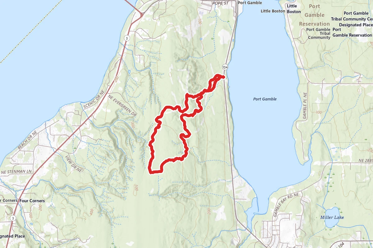 Forbidden Forest, Downhell, and Ewok Trails Loop