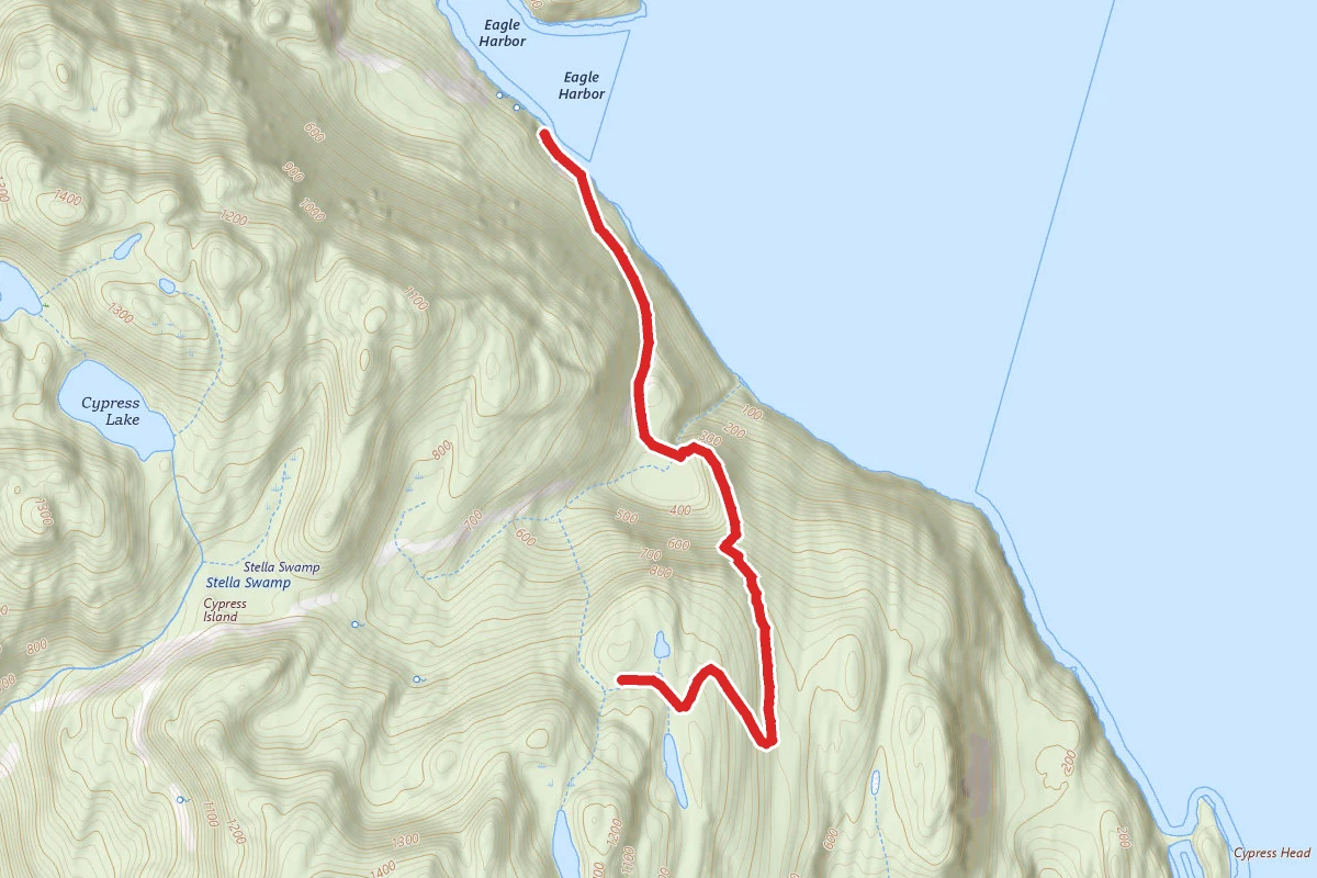 Cypress Island Airfield Trail