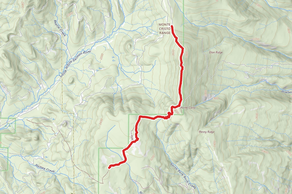 Monte Carlo Trail