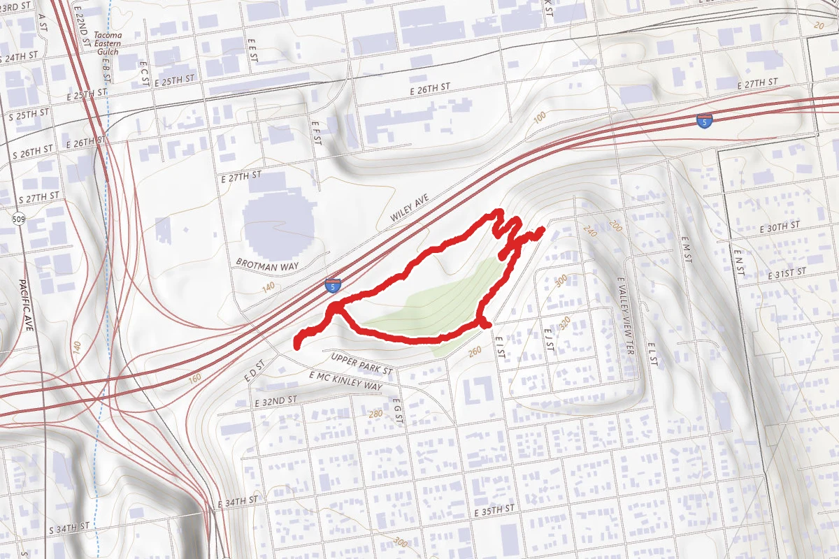 McKinley Park Loop