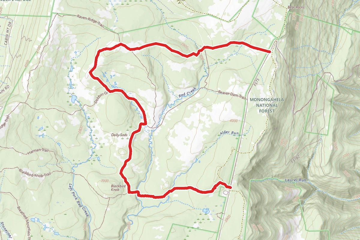 Blackbird Knob and Bear Rocks Trail
