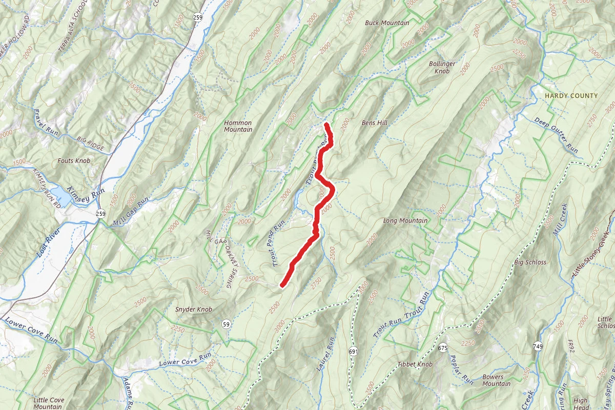 Trout Pond Trail