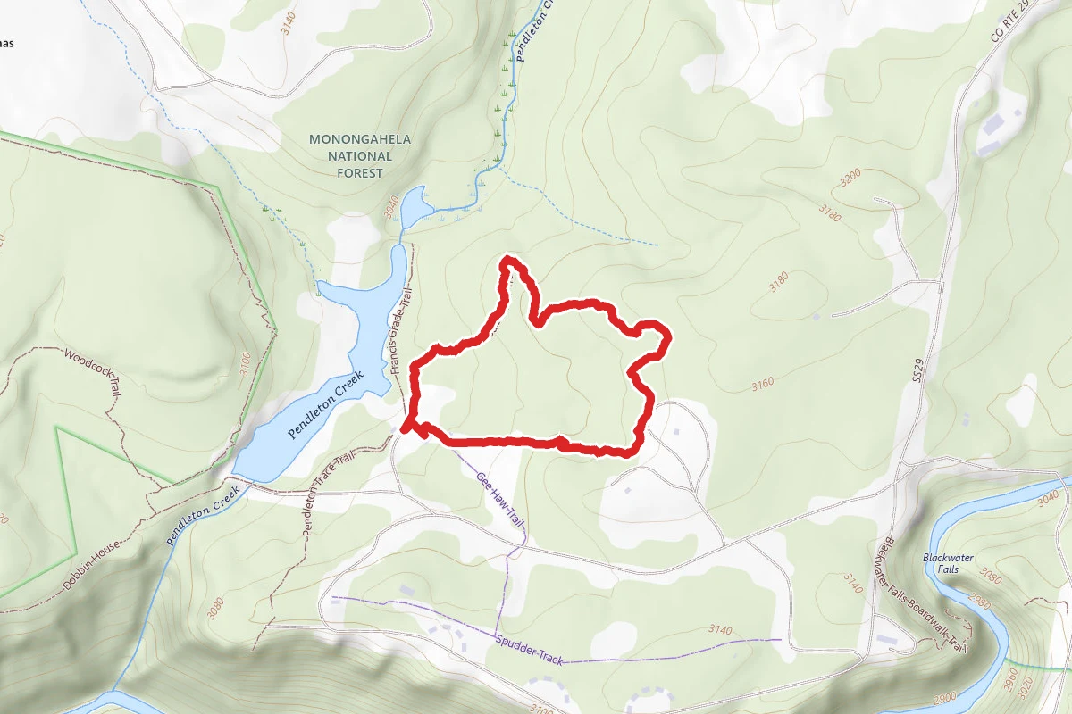 Balsam Fir Trail