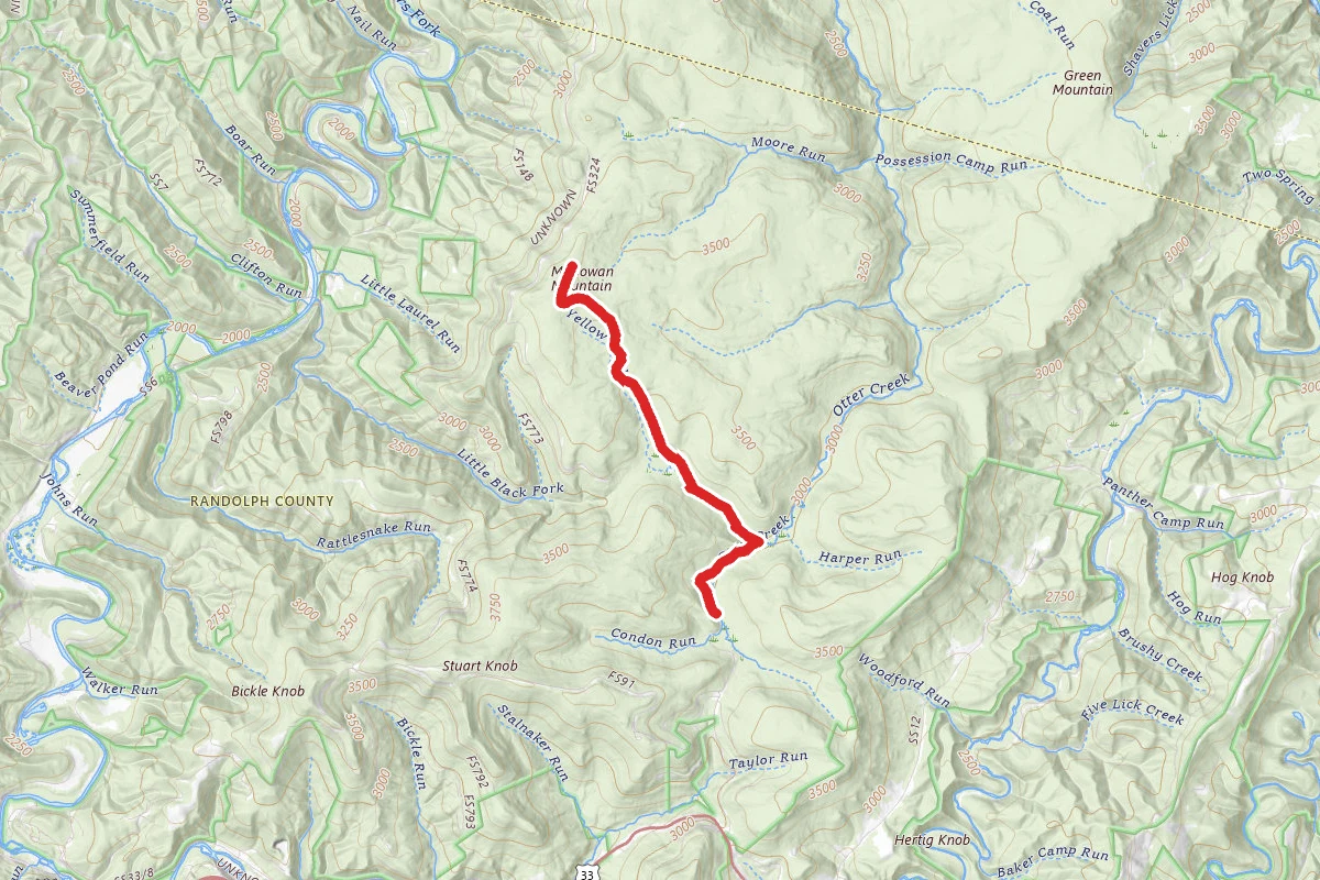 McGowan Mountain Via Yellow Creek Trail