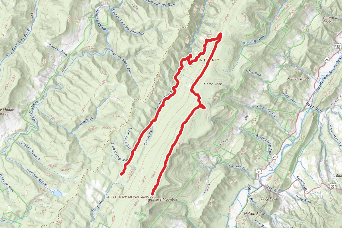 Huckleberry and Seneca Creek Trail