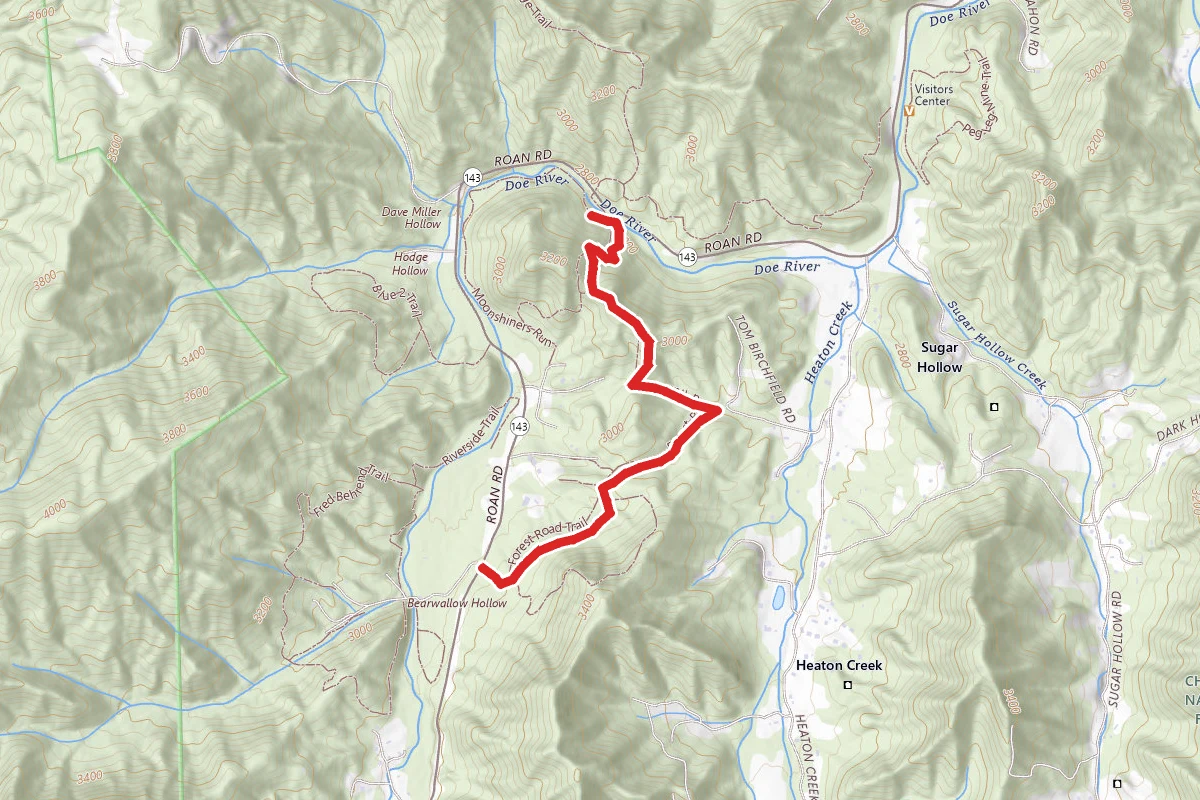 Roan Mountain Forest Road Trail