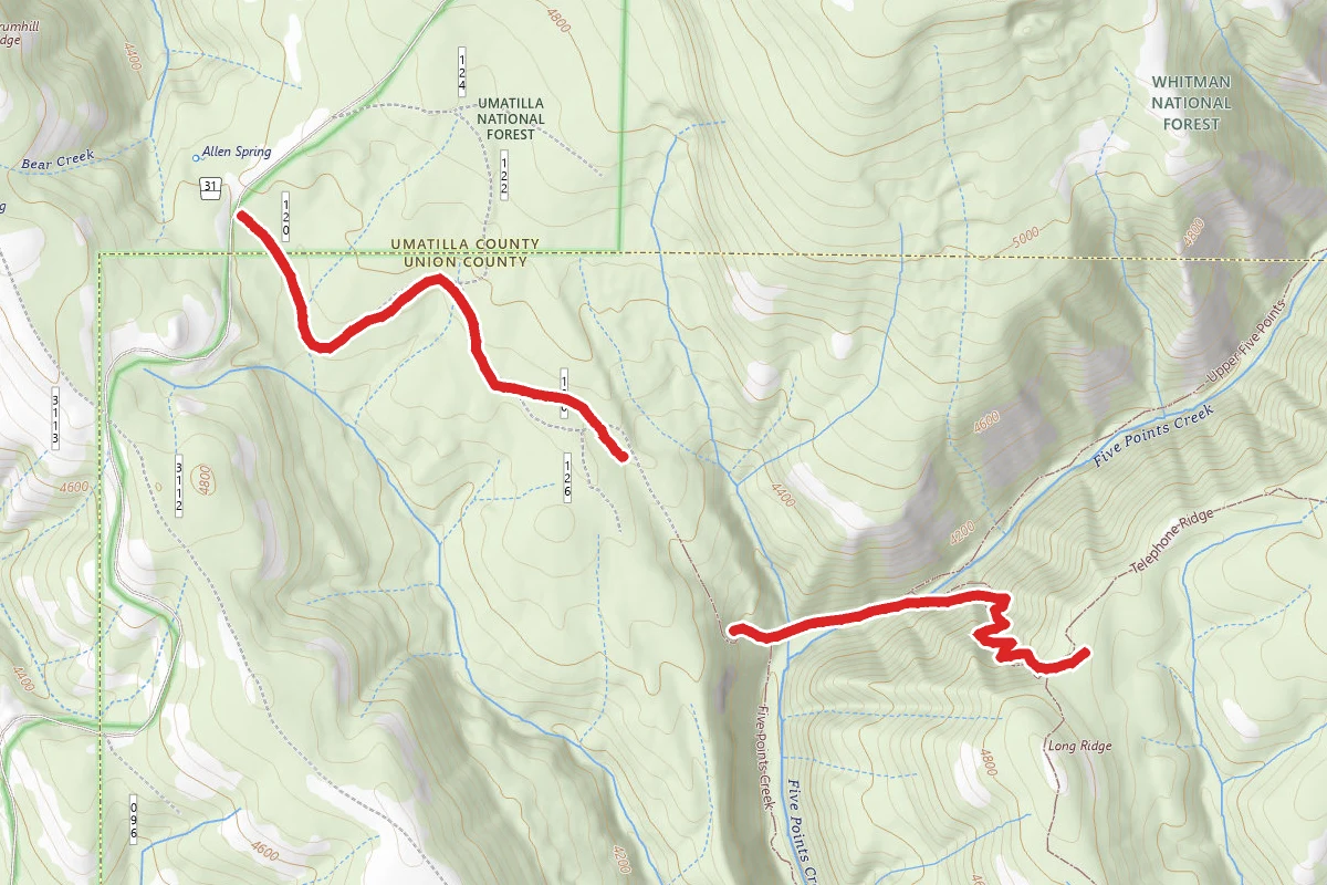 Summit Mount Emily Trail to Telephone Ridge