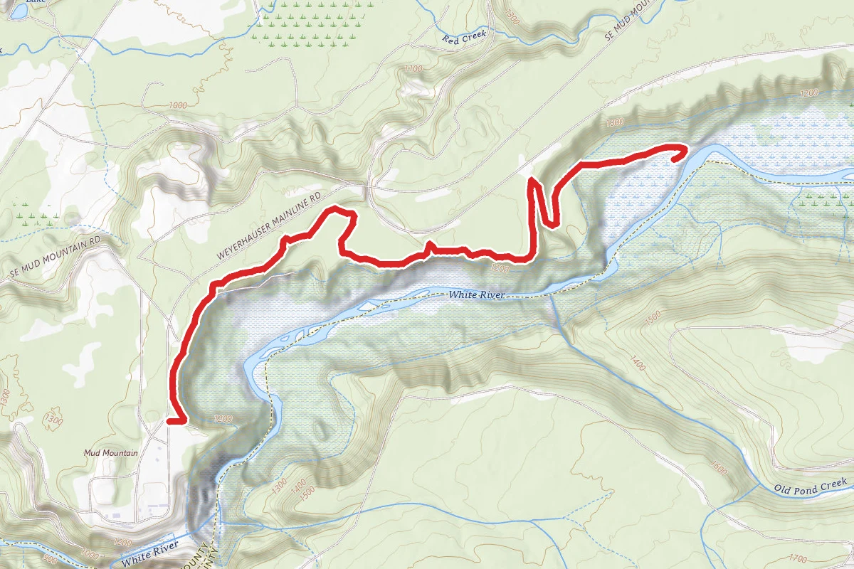 Mud Mountain Rim Trail