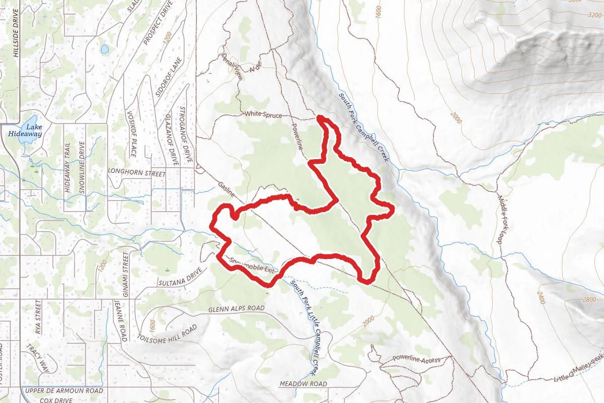 Silver Fern, Blueberry Hallow, and Powerline Trail Loop