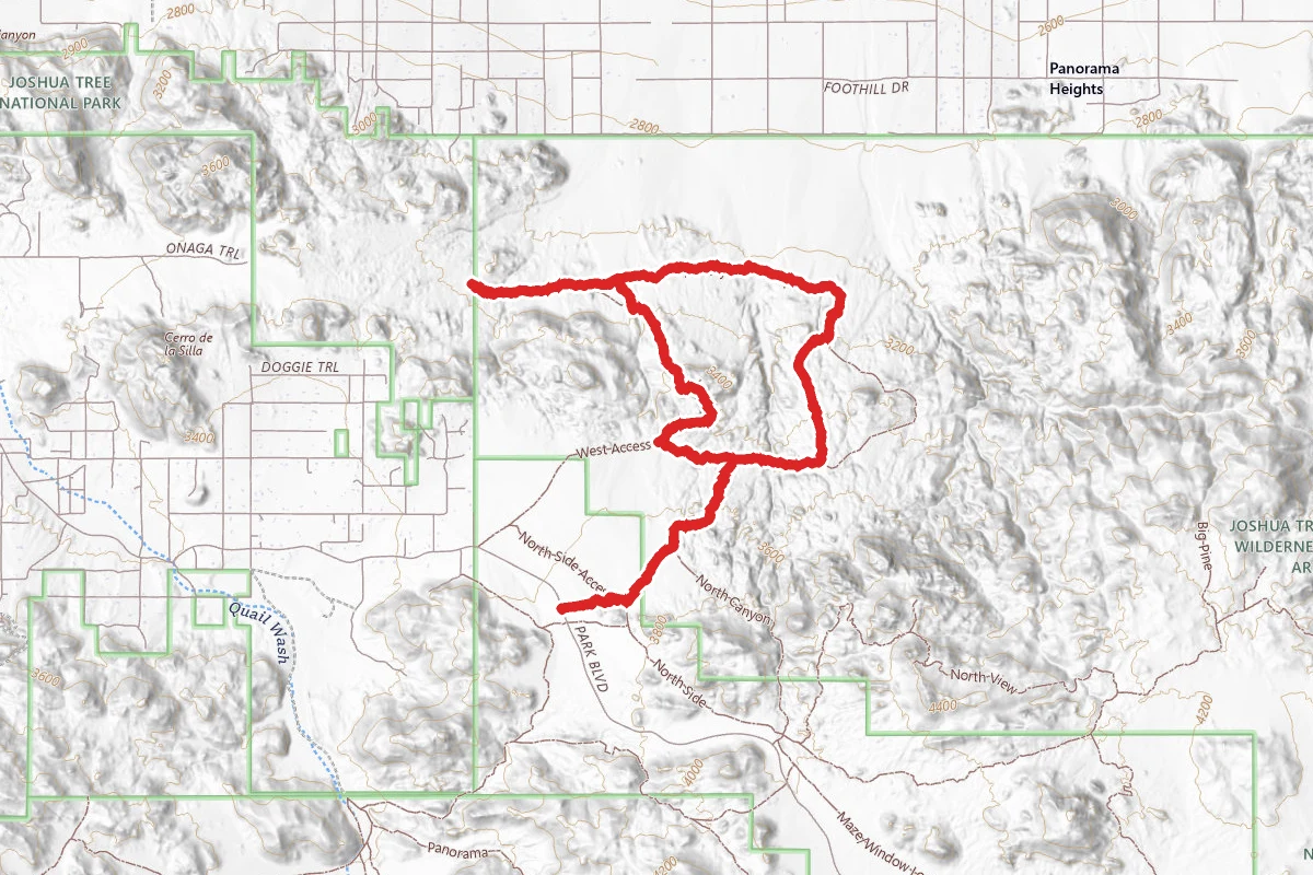 Joshua Tree Burro Loop Trail Hike