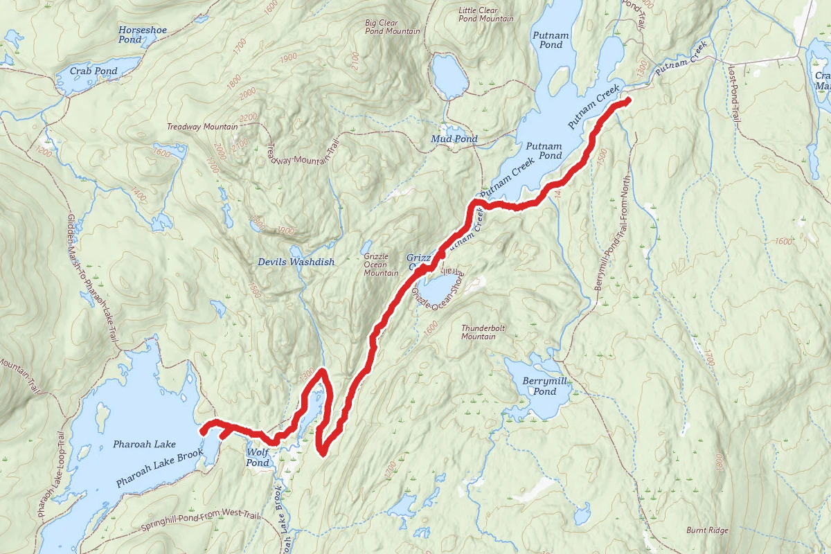 Pharoah Lake via Grizzle Ocean Trail