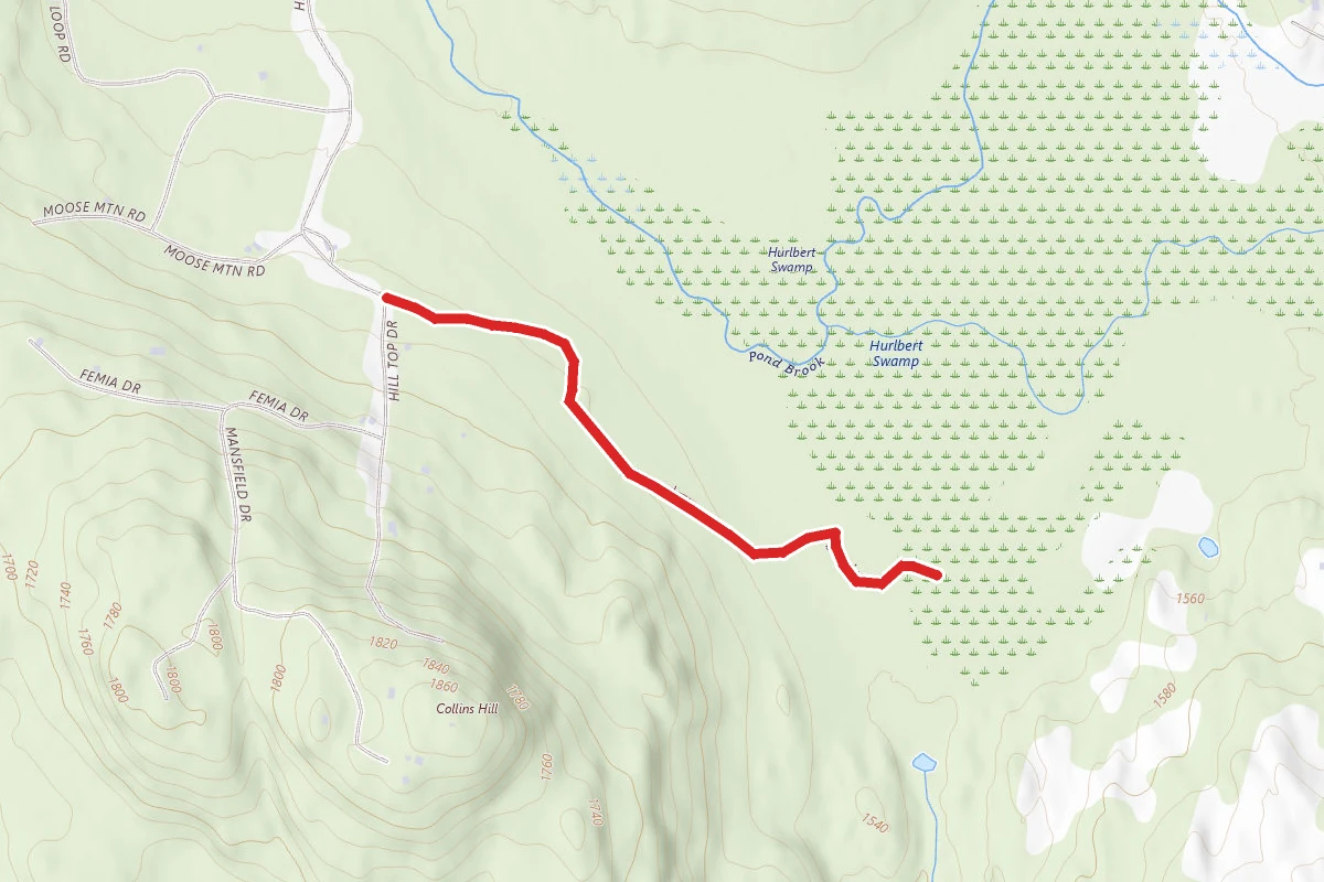 Hurlbert Swamp Trail