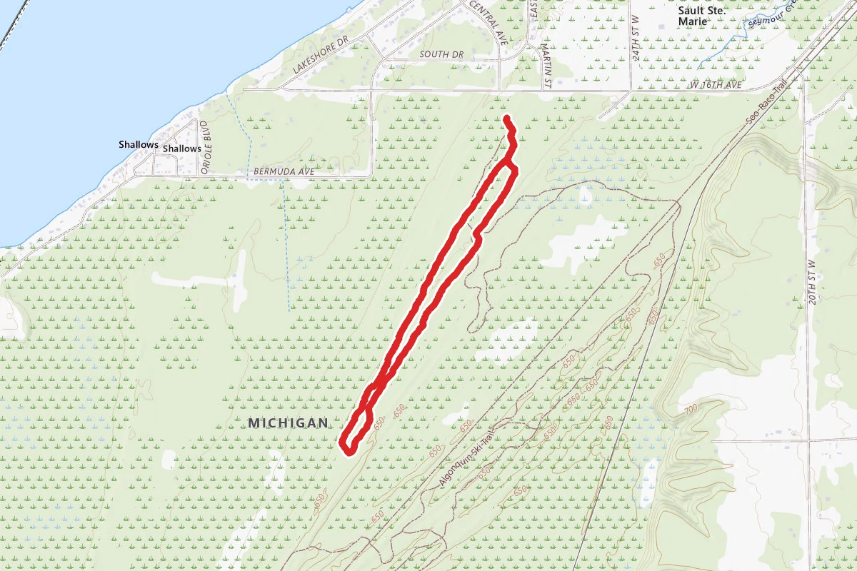 Algonquin Cross-Country Ski Trails