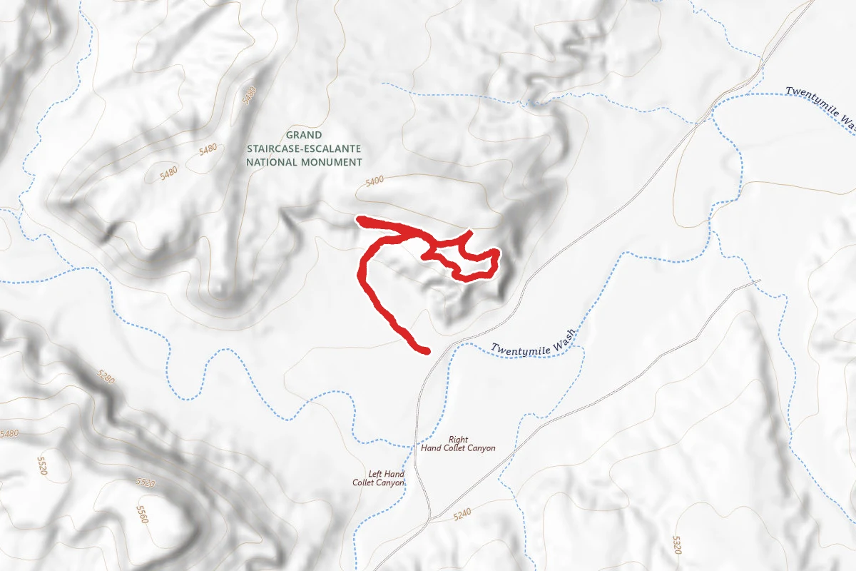 Twenty Mile Dinosaur Trackway