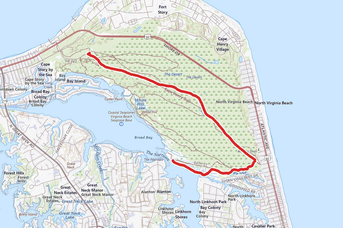 Cape Henry Trail