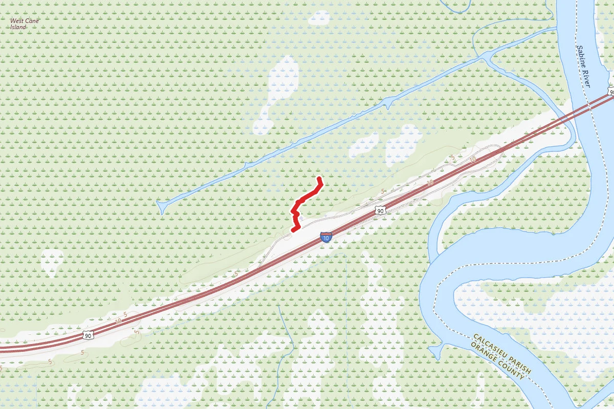 Blue Elbow Swamp Boardwalk