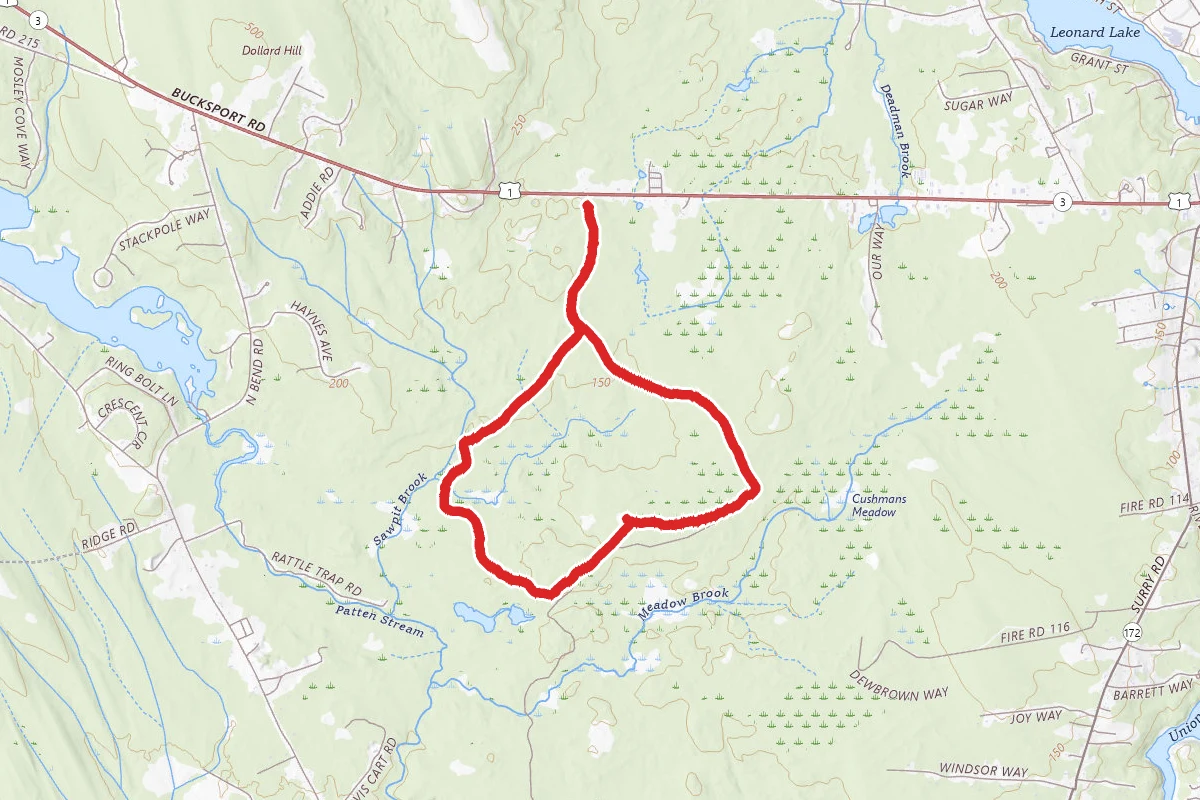 Meadowbrook Forest Loop