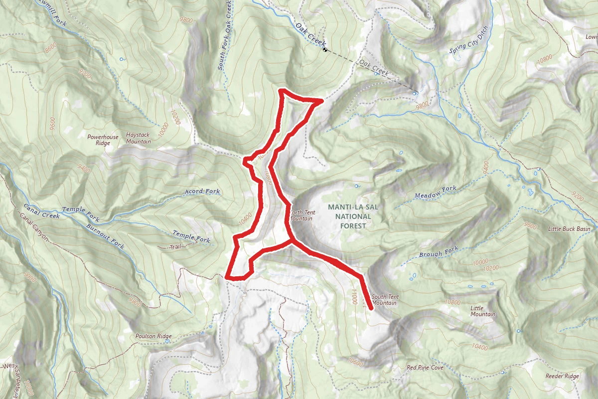 North and South Tent Mountain Loop Trail