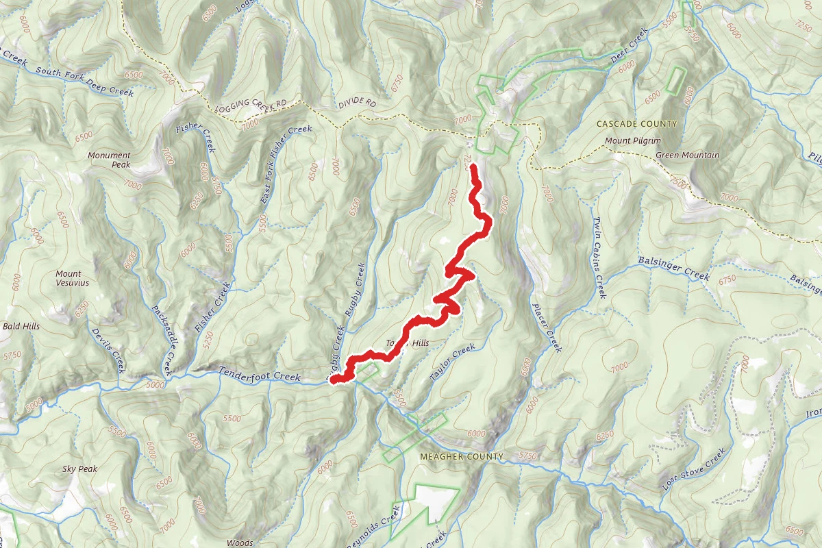 Taylor Hills Trail