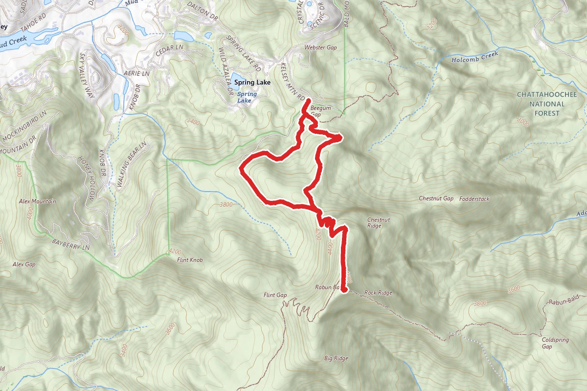 Rabun Bald via Beegum trail