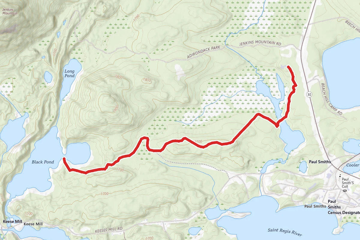 Black Pond via Woods and Waters Trail