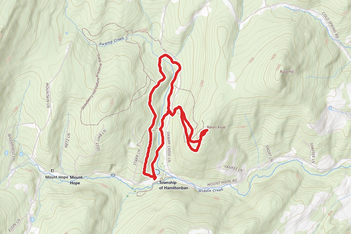 Swamp Creek Trail to Baker's Knob Loop