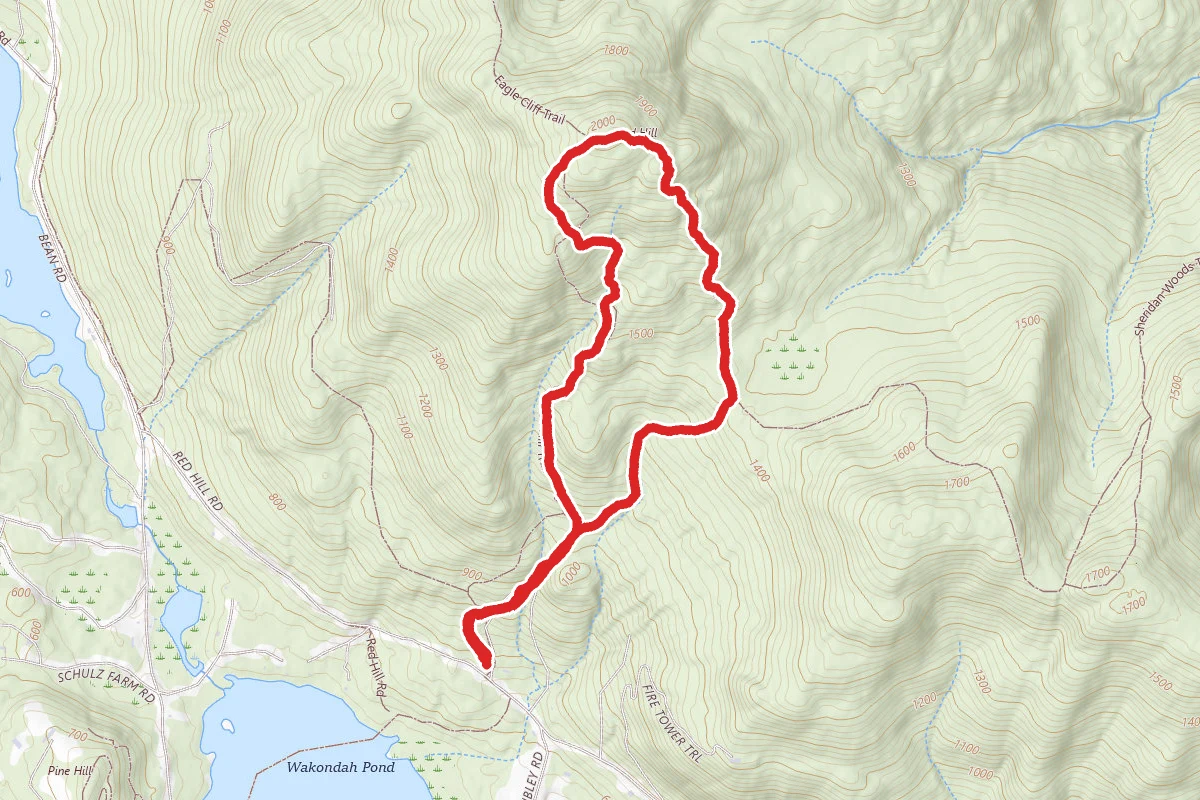 Red Hill Fire Tower Loop Trail