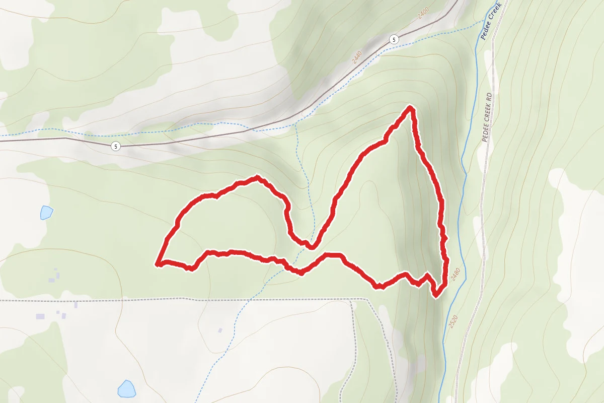 Scout Out Loop