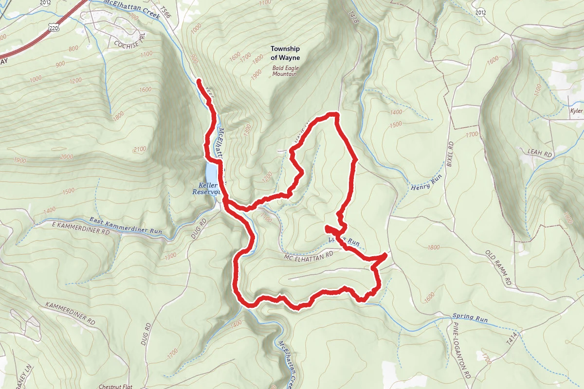 Raccoon and Bluebird Loop Trails