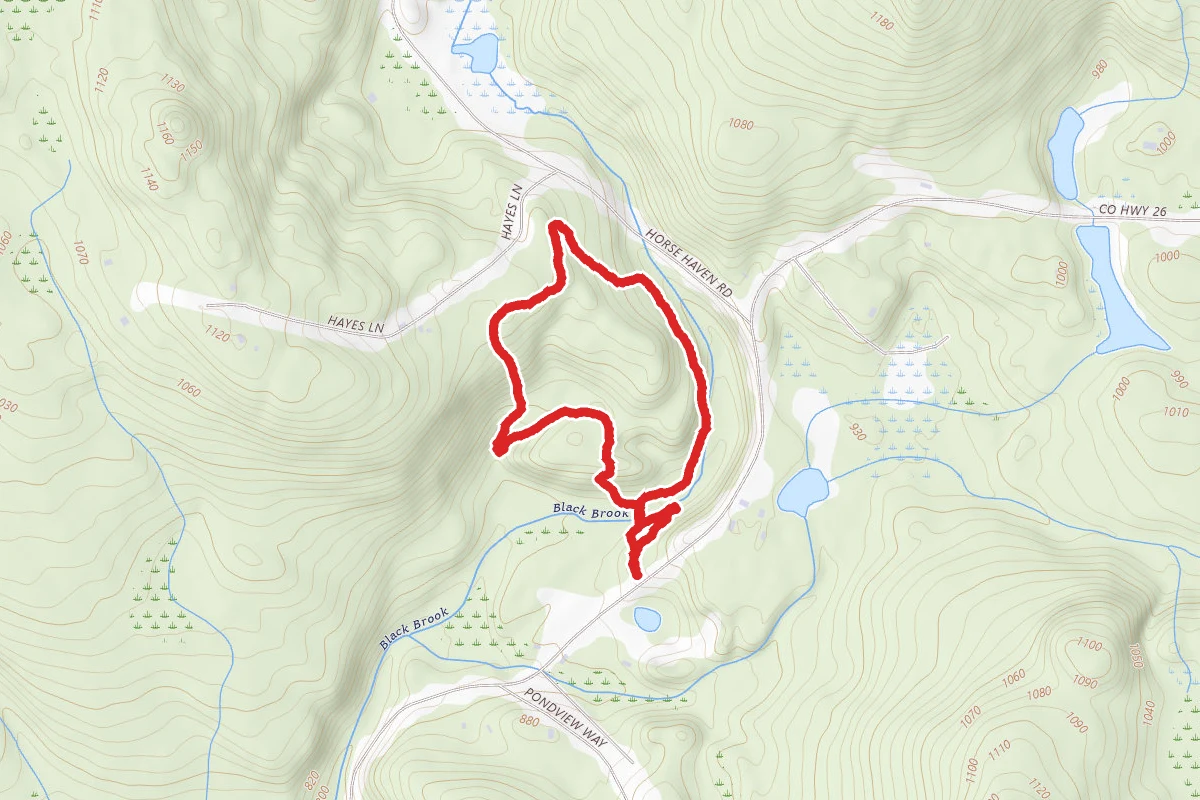 Main Trail and Rock Polypody Fern Trail Loop