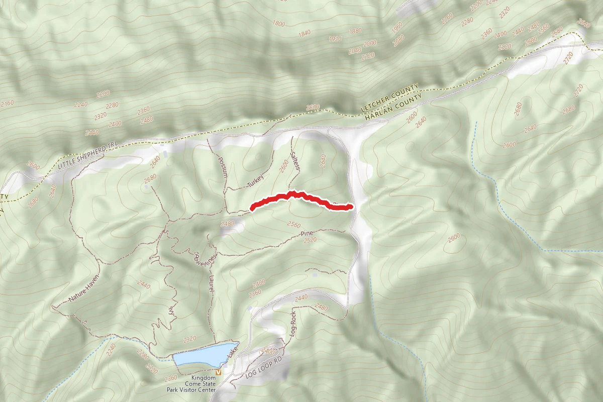 Groundhog Trail