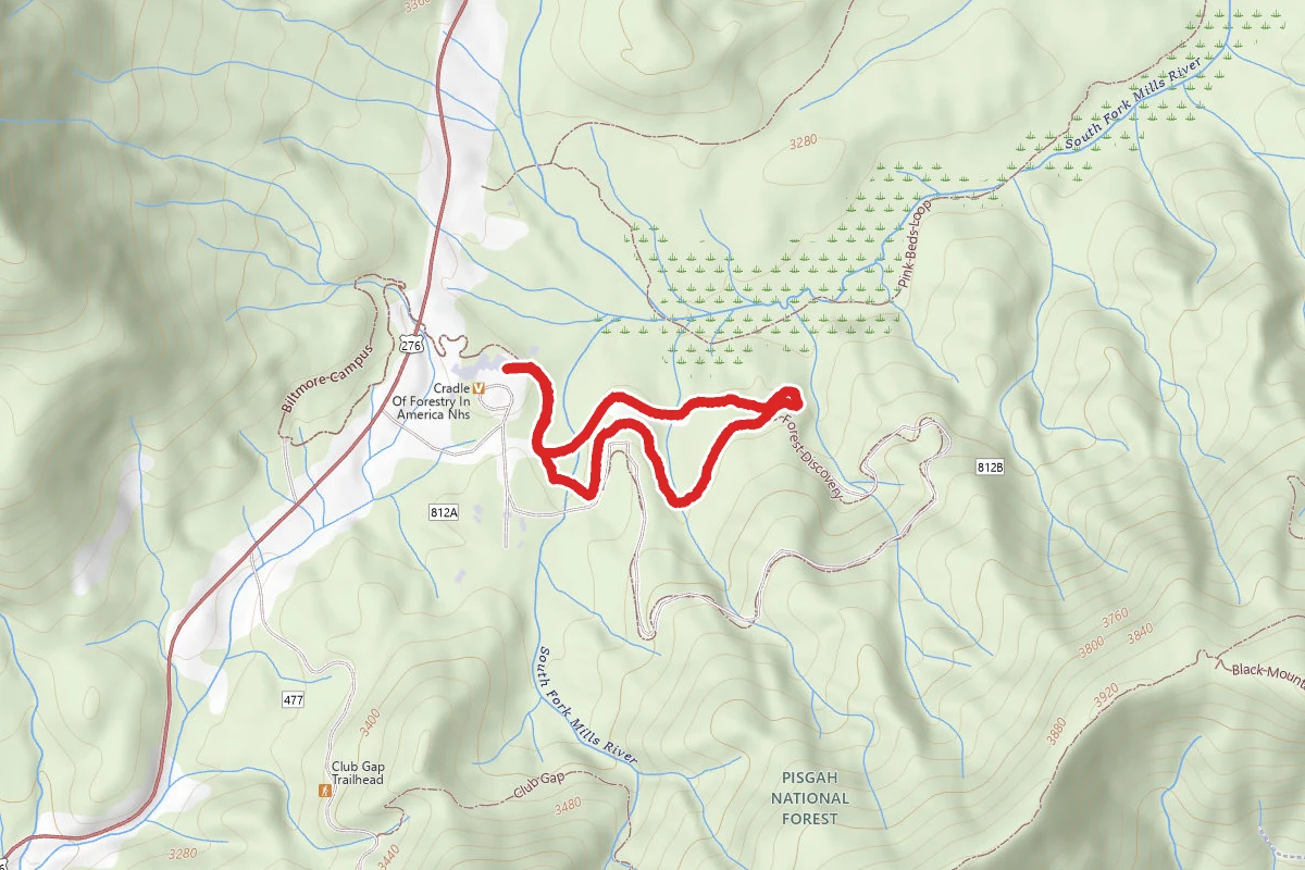 Forest Festival Trail