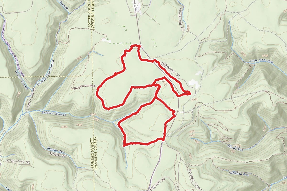 Black Forest and George and Ruth Will Ski Trails