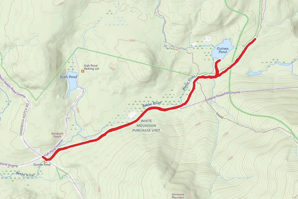 Guinea Pond Trail