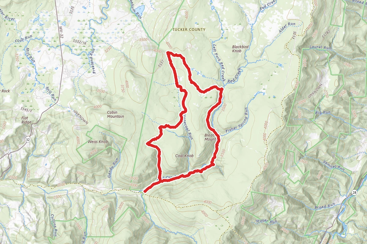 Lower Dolly Sods Loop