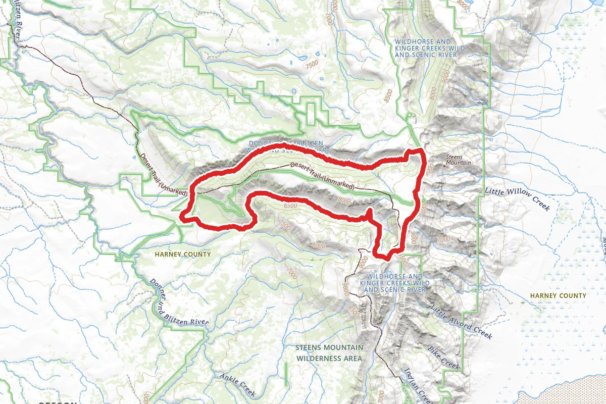 Big Indian Gorge Trail to Little Blitzen Loop