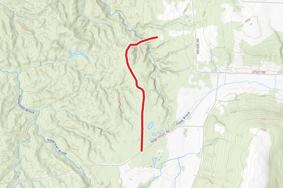 East Otto State Forest Trail